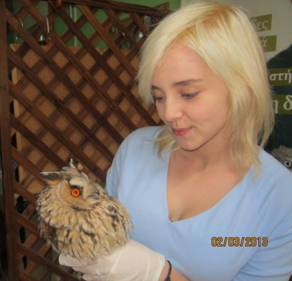 «Σκοποβολή» λαθροθήρων σε 127 άγρια πτηνά το 2012