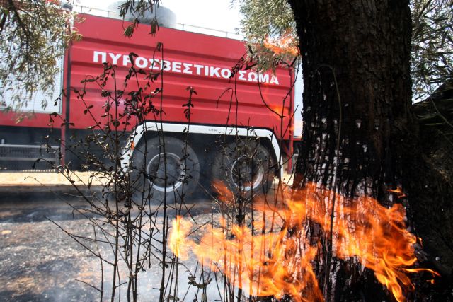 Farmer arrested for setting forest fire near Ierapetra