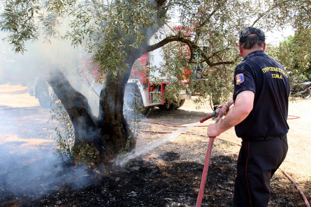 ΚΚΕ και ΠαΣοΚ για τις πυρκαγιές