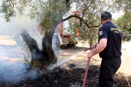 ΚΚΕ και ΠαΣοΚ για τις πυρκαγιές