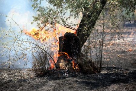 Η Γ.Γ. Πολιτικής Προστασίας για τον κίνδυνο πυρκαγιών