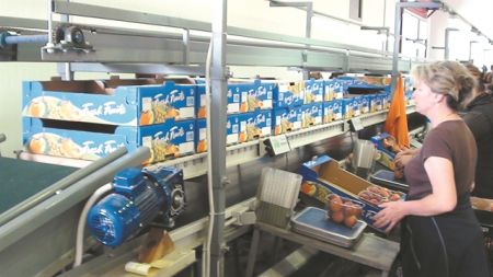 Ετσι θα αυξηθούν οι ελληνικές εξαγωγές