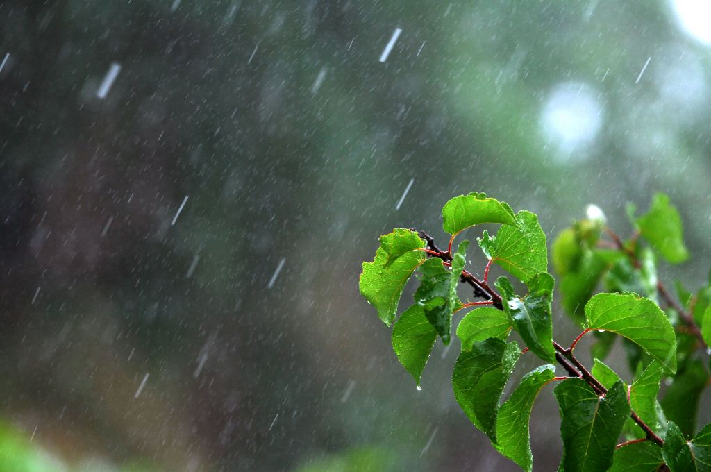 Βροχές και καταιγίδες το τριήμερο της Καθαράς Δευτέρας