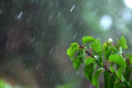 Βροχές και καταιγίδες το τριήμερο της Καθαράς Δευτέρας