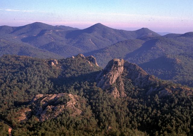 Δίχτυ προστασίας για το δάσος της Δαδιάς