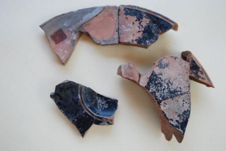 Τα συμπεράσματα για ευρήματα στην Βεργίνα