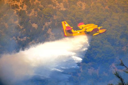 Πυρκαγιά σε εξέλιξη σε περιοχή της Ερμιονίδας