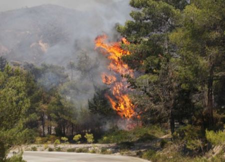 Φωτιά σε δασική έκταση στη Χάλκη του δήμου Νεμέας