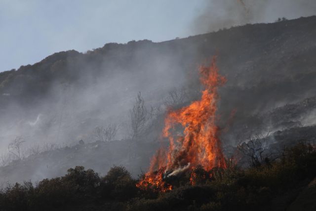 Ελληνοισραηλινή συνεργασία για αντιμετώπιση δασικών πυρκαγιών | tovima.gr