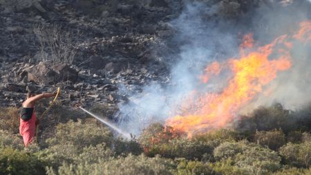 Σε εξέλιξη βρίσκεται δασική φωτιά στο Κερατσίνι