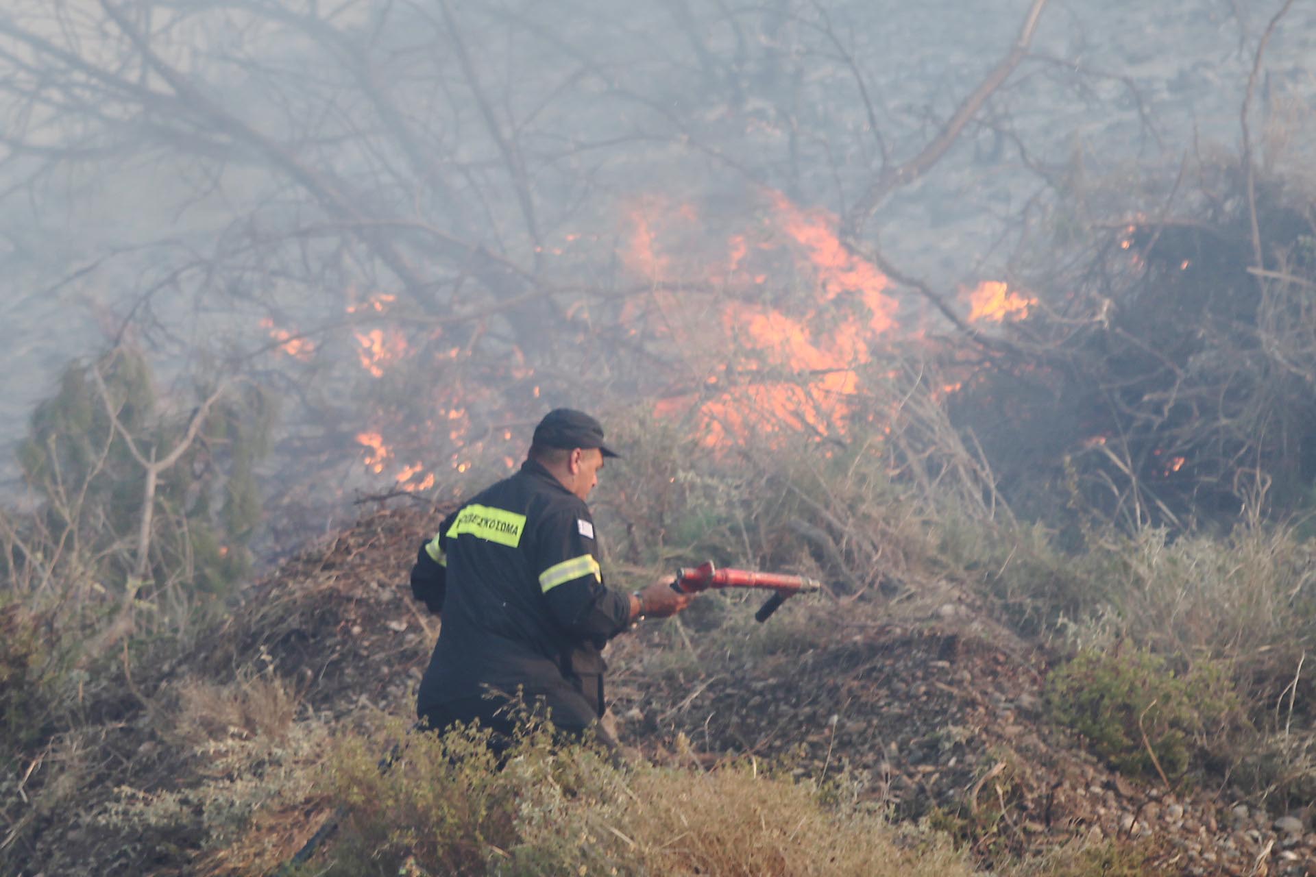 Τόσκας: Έμφαση στην πρόβλεψη και πρόληψη των πυρκαγιών
