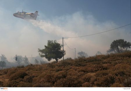 Υπό έλεγχο η φωτιά που εκδηλώθηκε σε πλαγιά του Ταϋγέτου