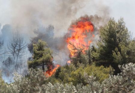 Τέσσερα άτομα κατηγορούνται για 68 εμπρησμούς στη Δράμα