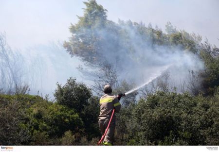 Τέσσερα χρόνια στα συρτάρια οι δασικοί χάρτες