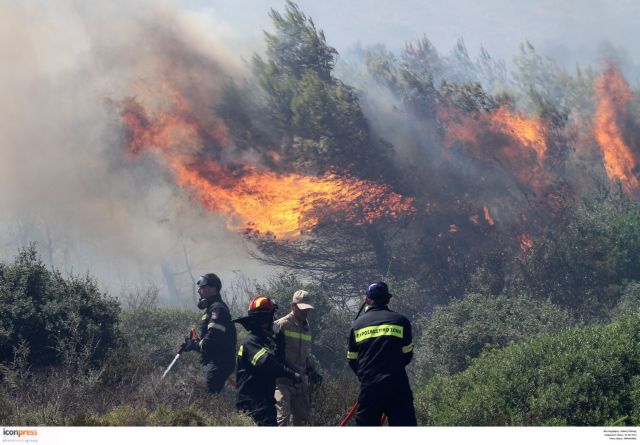 Αξιωματικοί Πυροσβεστικής: Επιβεβαιώθηκαν οι ανησυχίες μας το καλοκαίρι