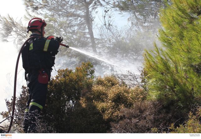 Fires break out in Kefalonia and Rhodes
