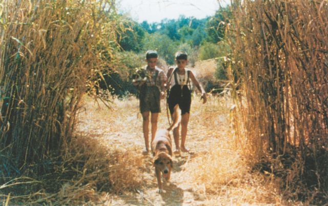 Δήμος Αβδελιώδης: Αθωότητα και άγριες τουλίπες