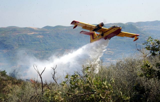 Dendias enforces curfew in forests until Sunday