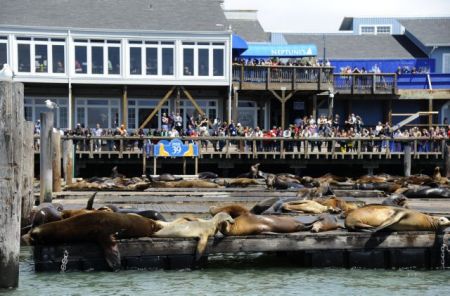 ΗΠΑ: Πρώην πεζοναύτης σχεδίαζε επίθεση στο Σαν Φρανσίσκο