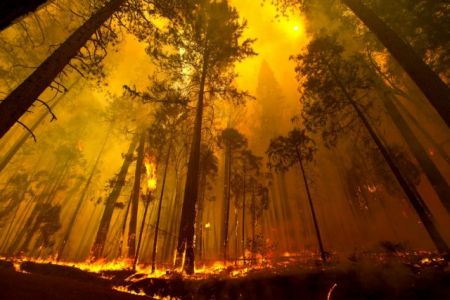 Γιατί καίγεται ξανά η Καλιφόρνια;