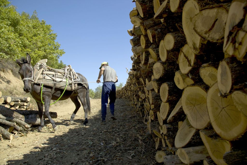 Φιλική μέθοδος παραγωγής ενέργειας από φυσικά καύσιμα