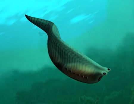 Ο πρόγονος όλων των σπονδυλωτών