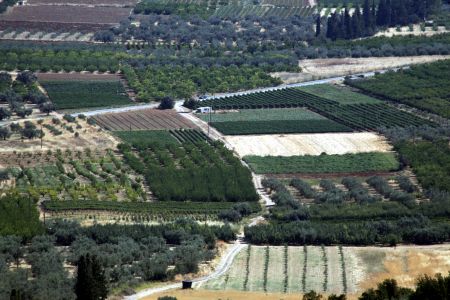 Αγροτεμάχια: Εξαιρούνται έως και το 2018 από τον συμπληρωματικό ΕΝΦΙΑ