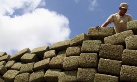 Νομιμοποίηση ναρκωτικών στη Λ. Αμερική προτείνει ο ΟΗΕ