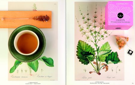 Γλυκόξινα: Της άνοιξης