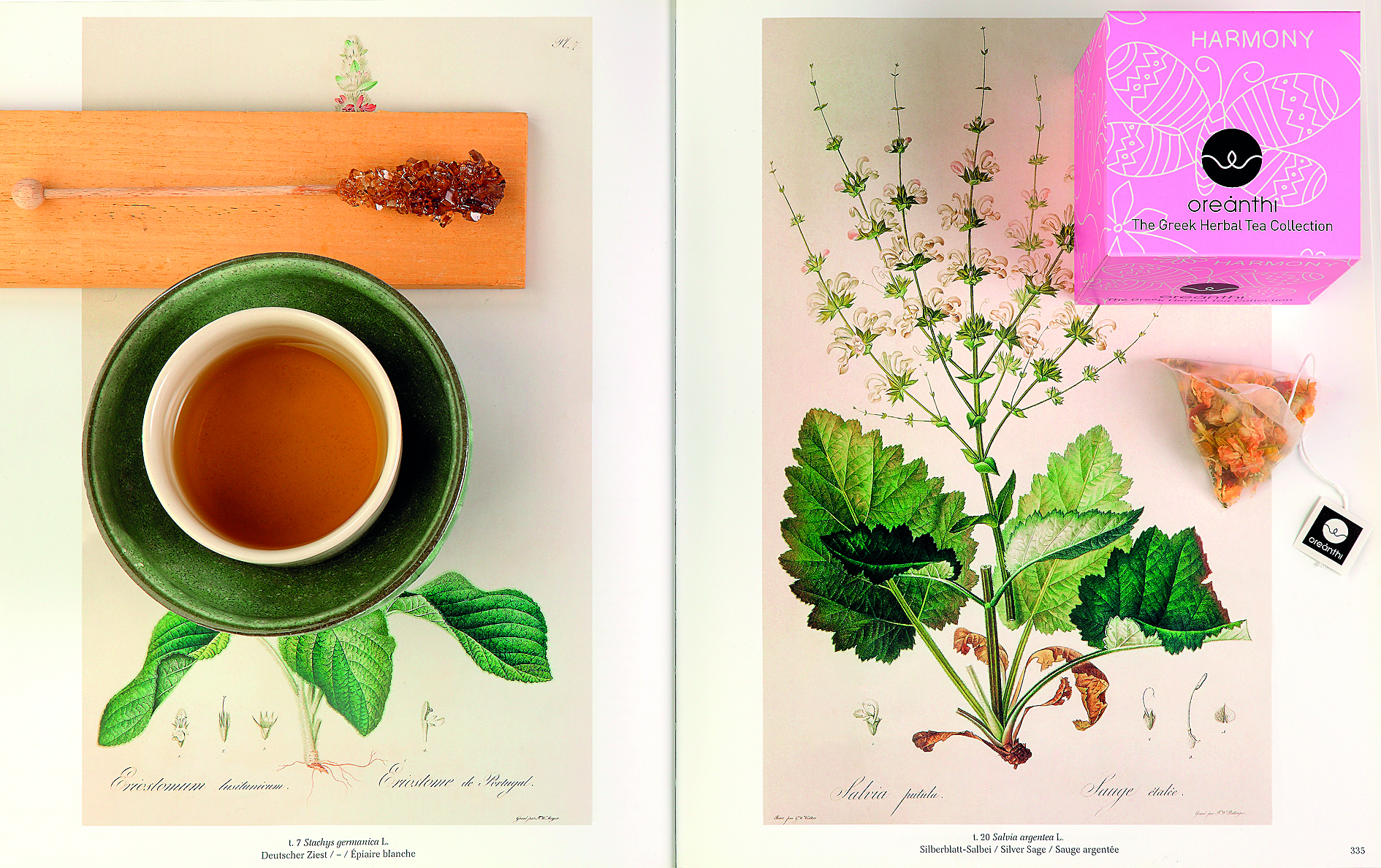 Γλυκόξινα: Της άνοιξης