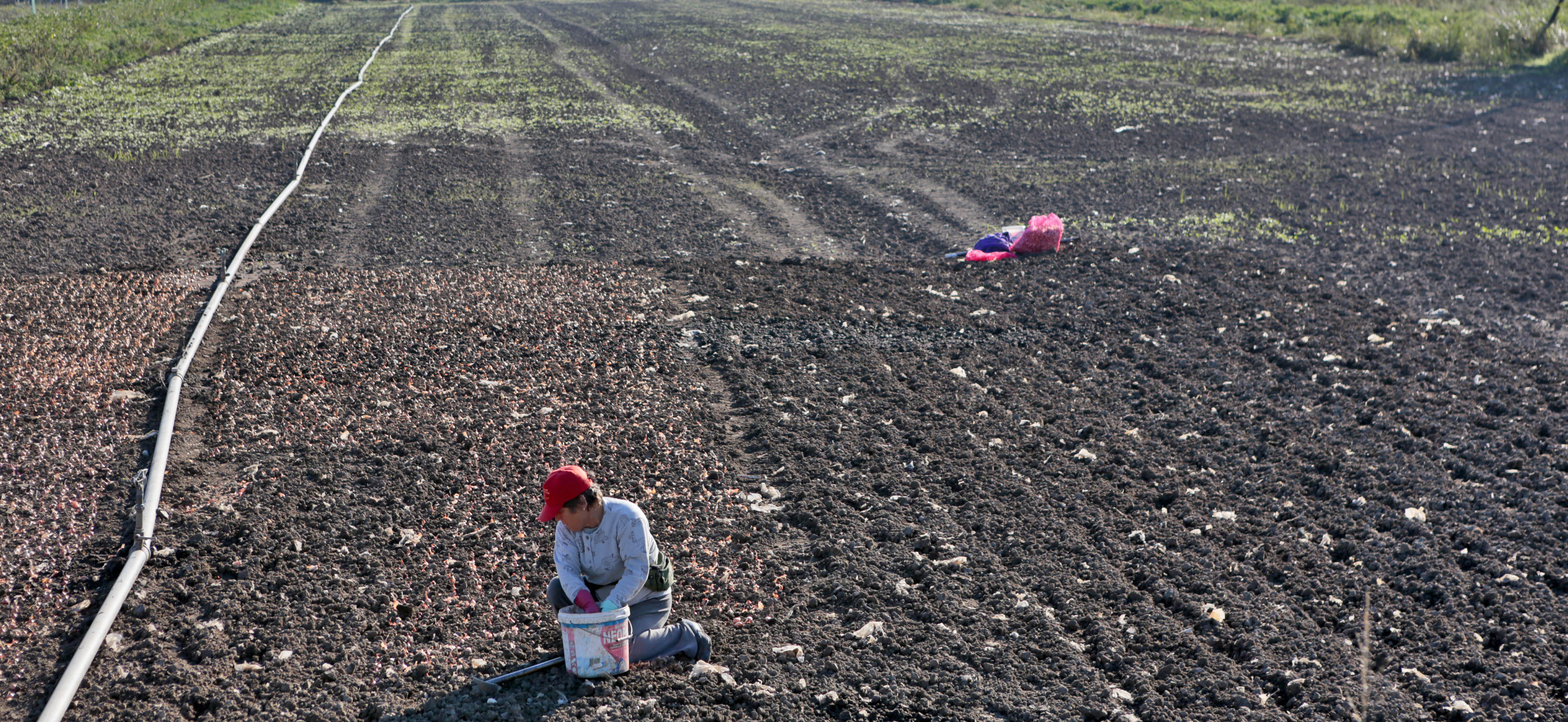 Μείωση του ορίου ηλικίας συνταξιοδότησης των αγροτών ζητούν βουλευτές της ΝΔ