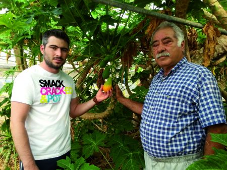 Συνδαιτυμόνας: Στον κήπο του Καραλάκη