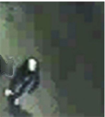 Σφίγγει ο κλοιός για τους δολοφόνους των χρυσαυγιτών