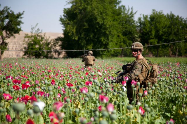 Στα ύψη η παραγωγή οπίου στο Αφγανιστάν