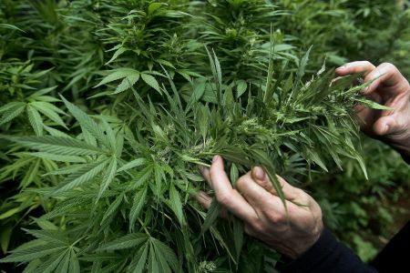 Αποποινικοποίηση των ναρκωτικών ζητούν πολιτικές προσωπικότητες