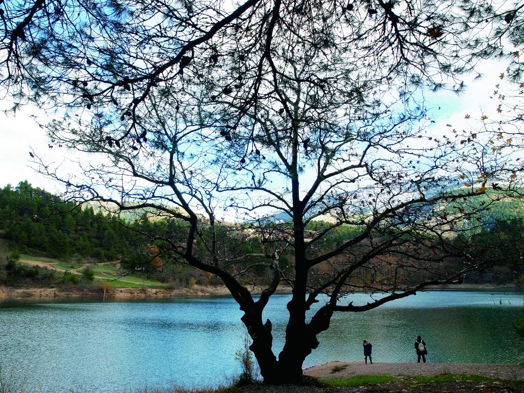 Ραντεβού στην Τσιβλού
