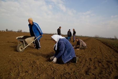 Παράταση στην έκδοση βιβλίων εσόδων-εξόδων για τους αγρότες