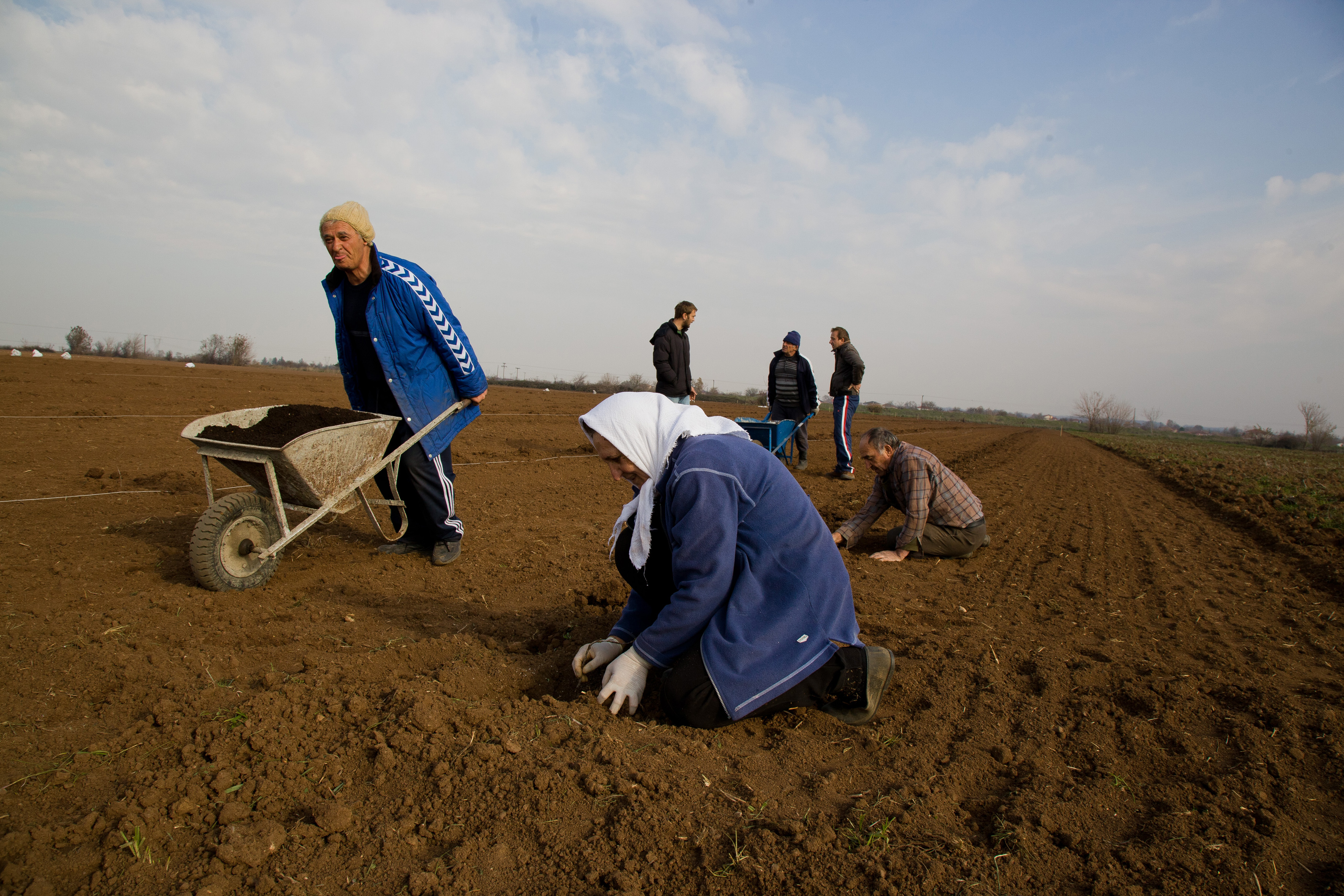 Παράταση στην έκδοση βιβλίων εσόδων-εξόδων για τους αγρότες