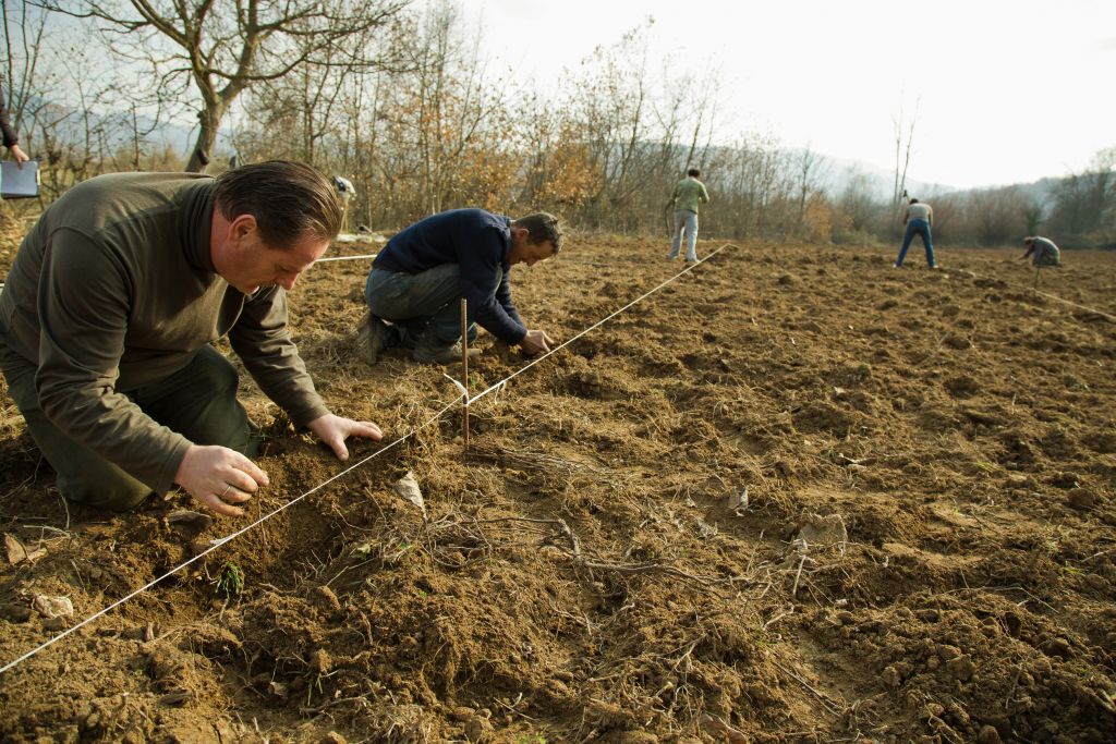 ΠΑΣΕΓΕΣ: Υπέβαλε προτάσεις για την κατανομή των άμεσων ενισχύσεων