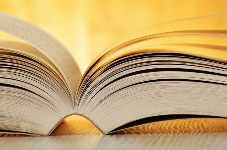 Διάβασαν το 2013