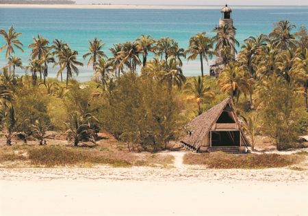 Τι είδε η γάτα Αγκύρας;