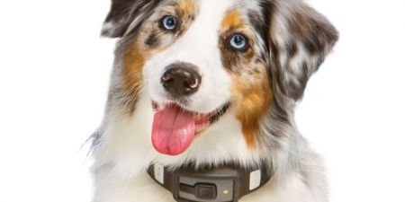 Προς το αύριο