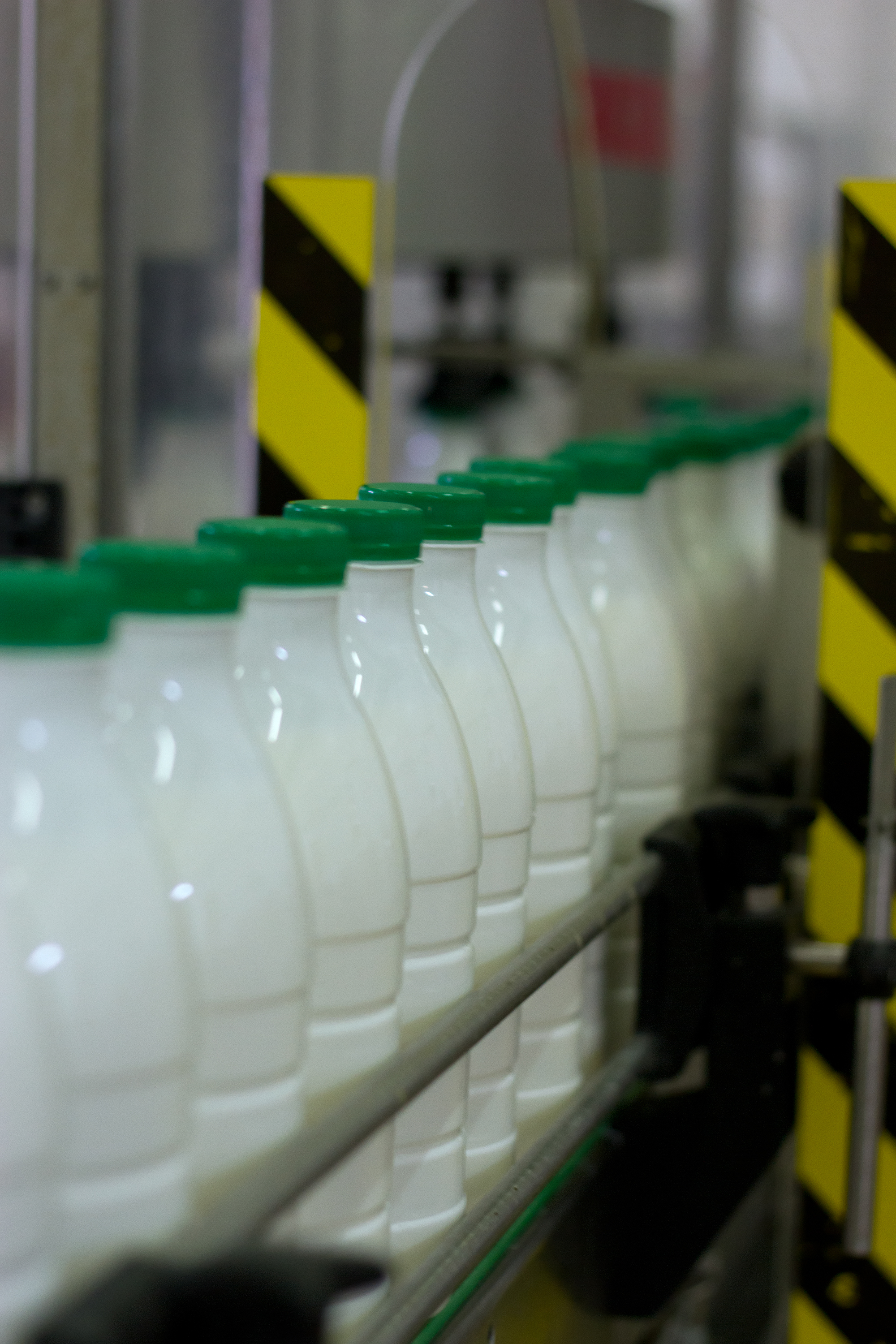 Γιακουμάτος: Μειώθηκαν κατά 5 – 10% οι τιμές του γάλακτος
