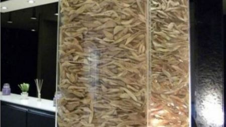 Ν.Κορέα: Πρόστιμο σε κλινική πλαστικής χειρουργικής