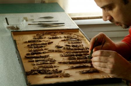 Ανθισμένο ταξίδι στην αιωνιότητα