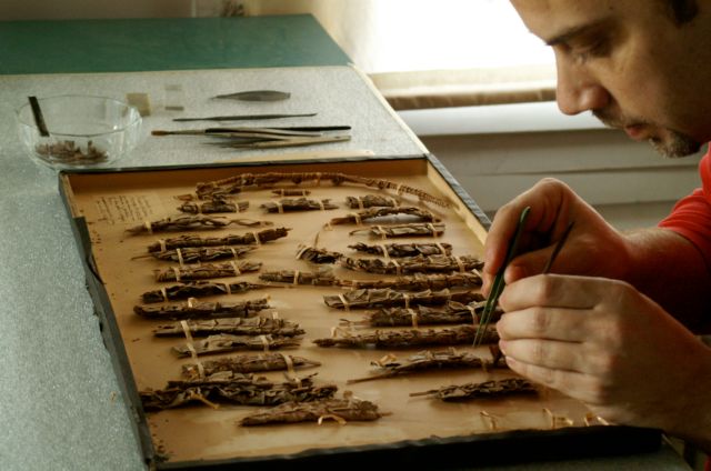 Ανθισμένο ταξίδι στην αιωνιότητα