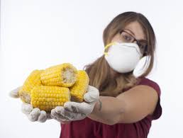 Από το παράθυρο επανέρχονται τα «μεταλλαγμένα» στην ΕΕ