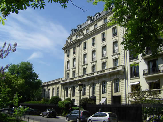 Yachts και… αγελάδες