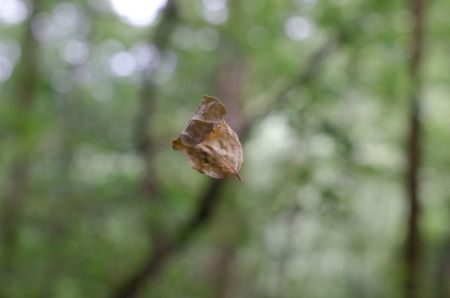 Θέατρο και ευαισθησία