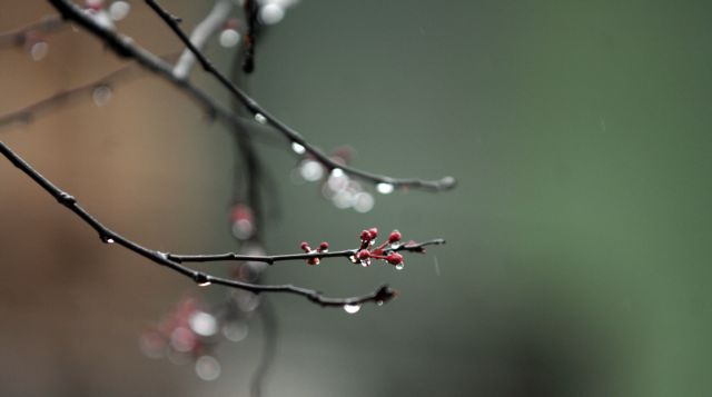 Χαλάει ο καιρός το Σάββατο: Βροχές και καταιγίδες στα νότια